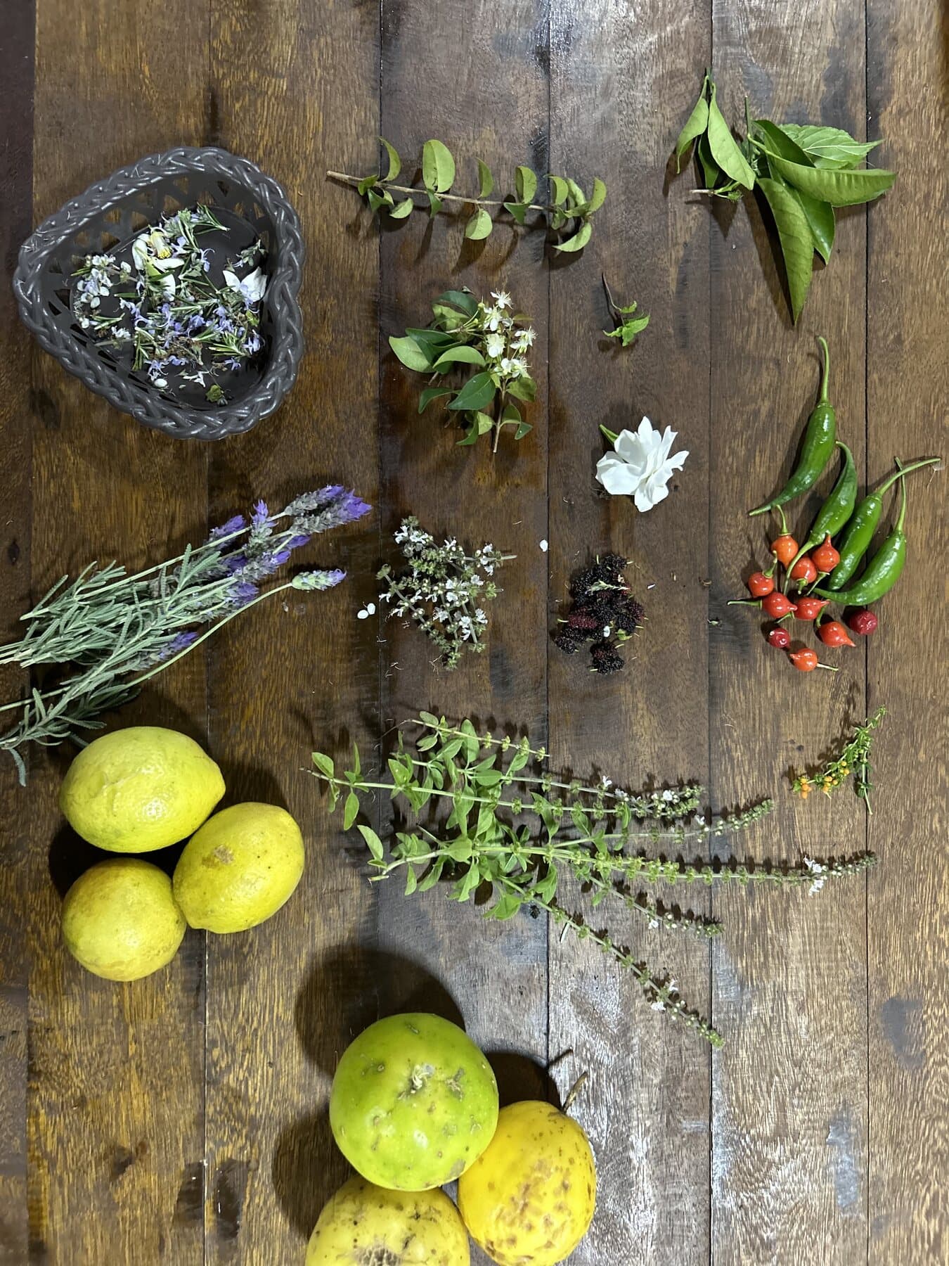 Colheita de verduras na horta da Bem Natura